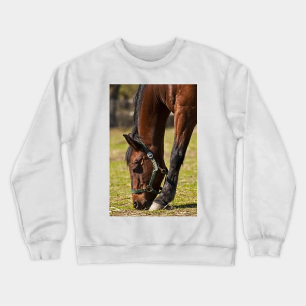 Feeding Time Crewneck Sweatshirt by jaydee1400